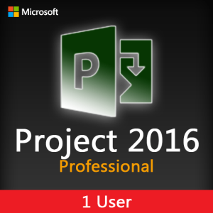 Microsoft Project 2016 Profesional