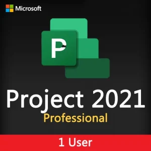 Project Professional 2021 1 PC